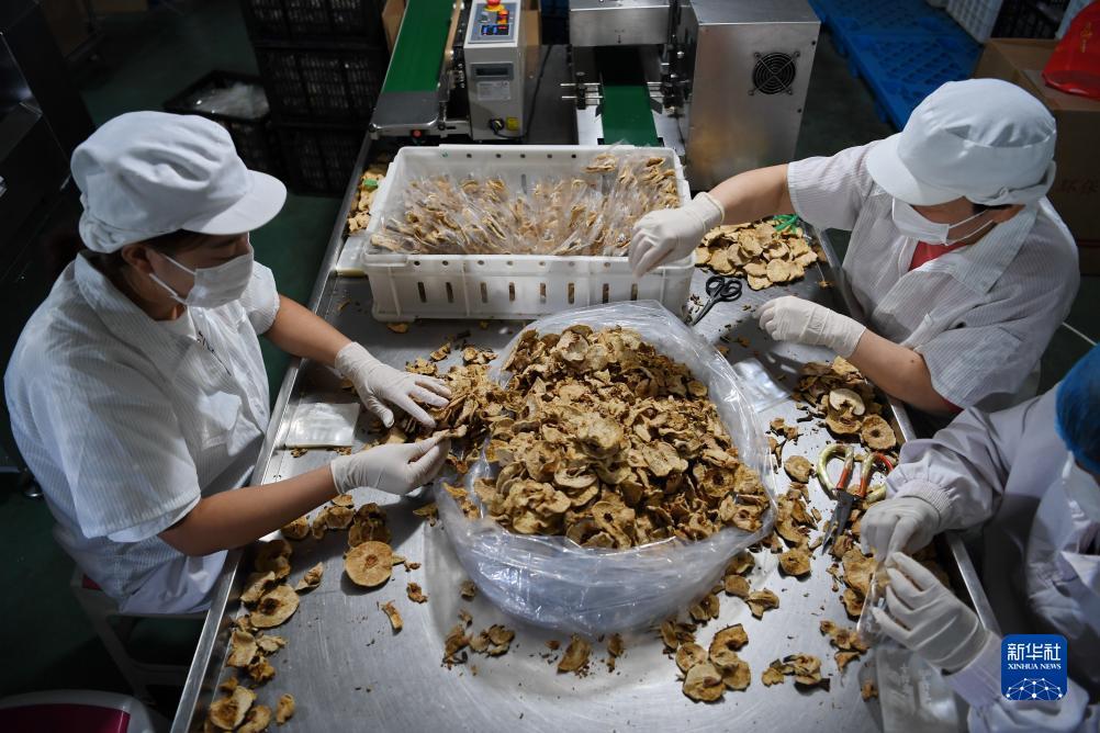 捕鱼注册送金